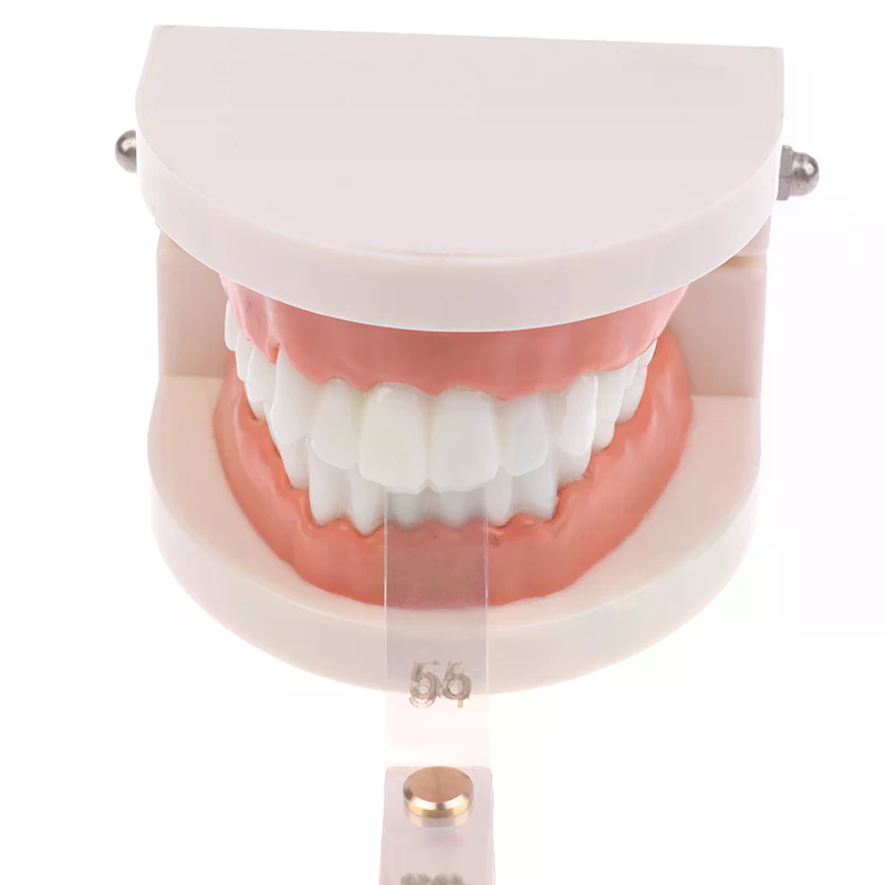 /ACR/Dental Interproximal Redu - Ruler Set Transparent ulasan dan harga